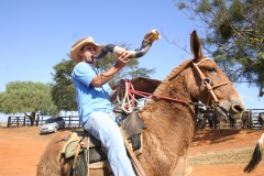 Primeira Cavalgada Universitaria 2011